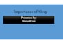 create professional powerpoint presentations and slides